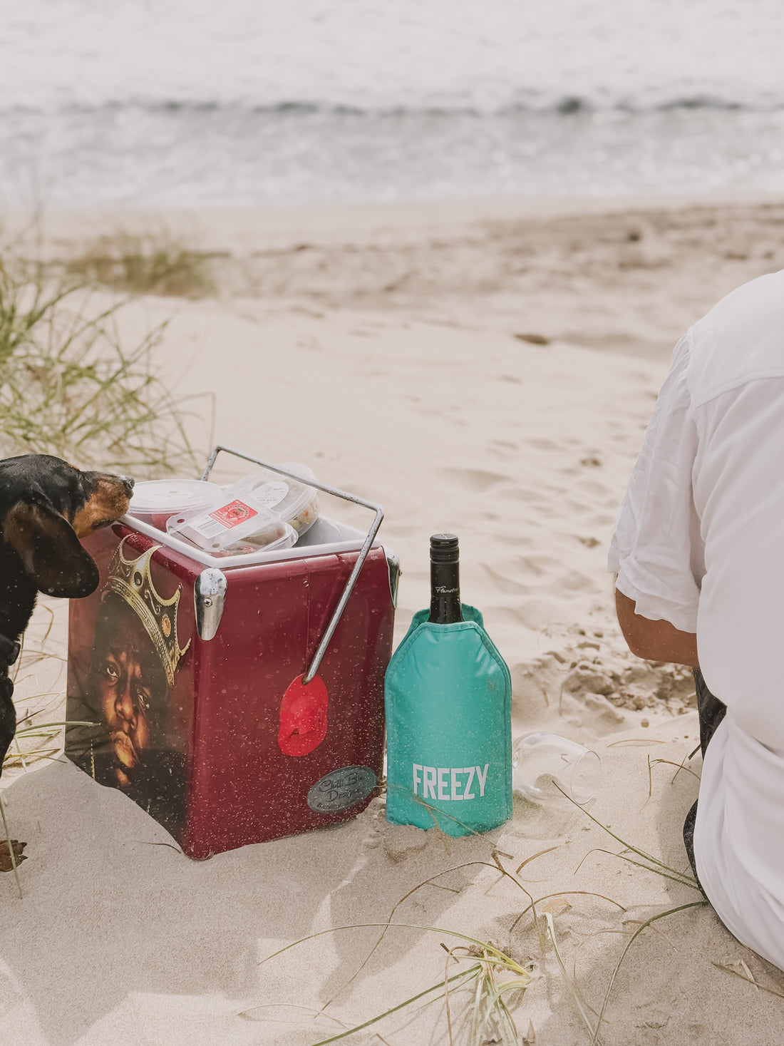 Freezy Wine Cooler Sleeve